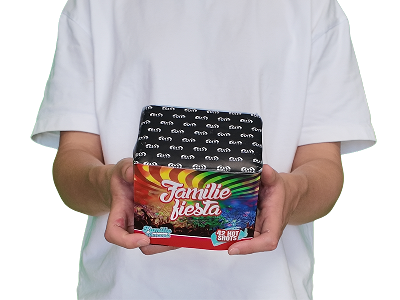 Familie Fiesta - Bovenzijde